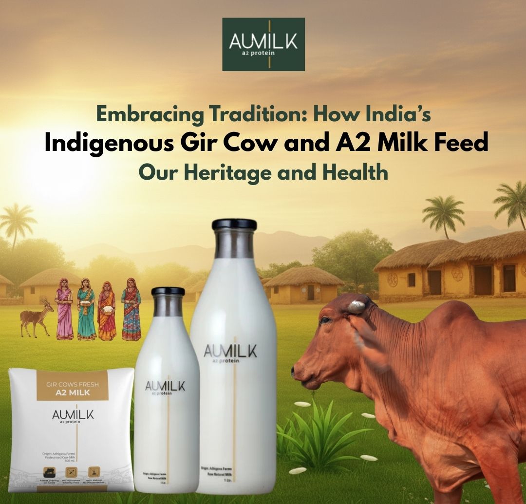 India s Indigenous Cow Feed Our Heritage Www adhigava in india-s-indigenous-cow-feed-our-heritage-www-adhigava-in