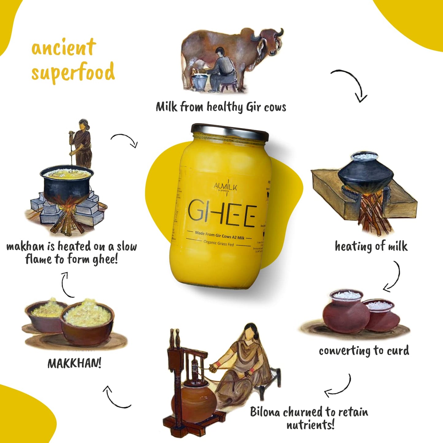 Gir Cows Bilona Ghee