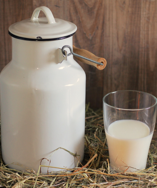 Natural, Grassfed and Cruelty-free Gir Cows A2 Milk