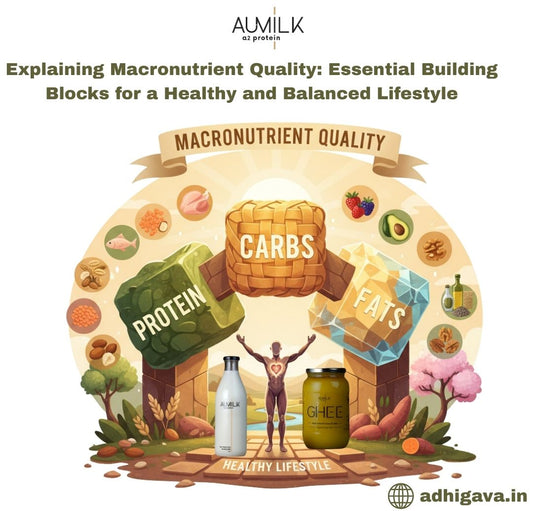 Macronutrient Quality for Healthy Living