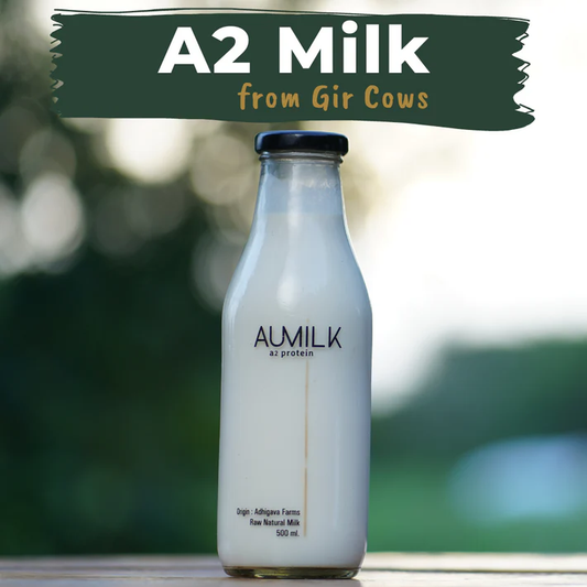 Discover the Aumilk Advantage: The Journey of Pure A2 Milk from Gir Cows to Your Doorstep