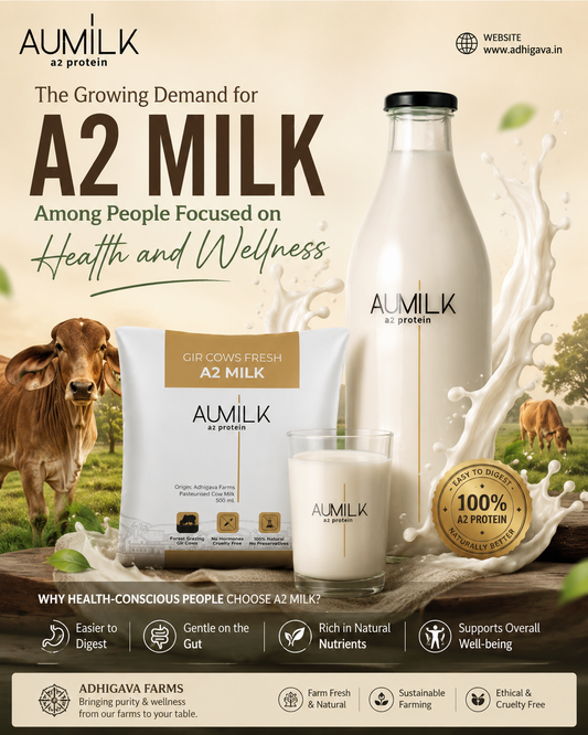 The Growing Demand for A2 Milk Among People Focused on Health and Wellness