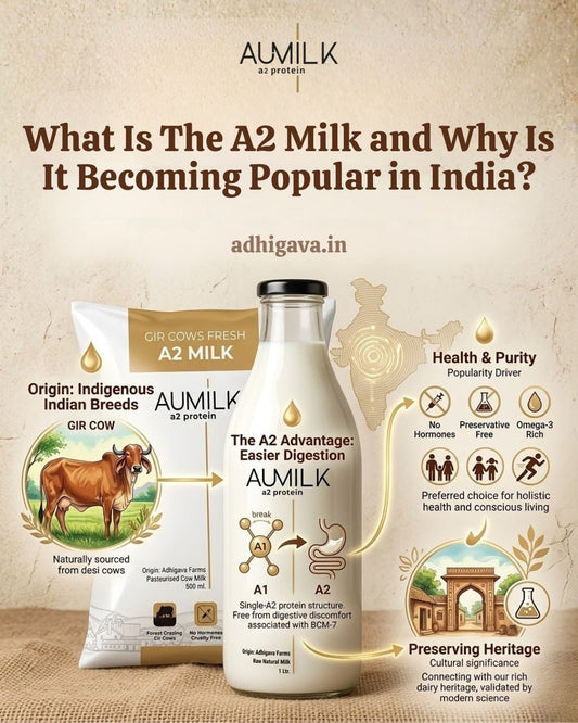 What Is The A2 Milk and Why Is It Becoming Popular in India?
