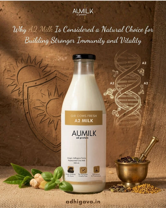 Why A2 Milk Is Considered a Natural Choice for Building Stronger Immunity and Vitality