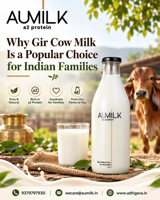 Why Gir Cow Milk Is a Popular Choice for Indian Families