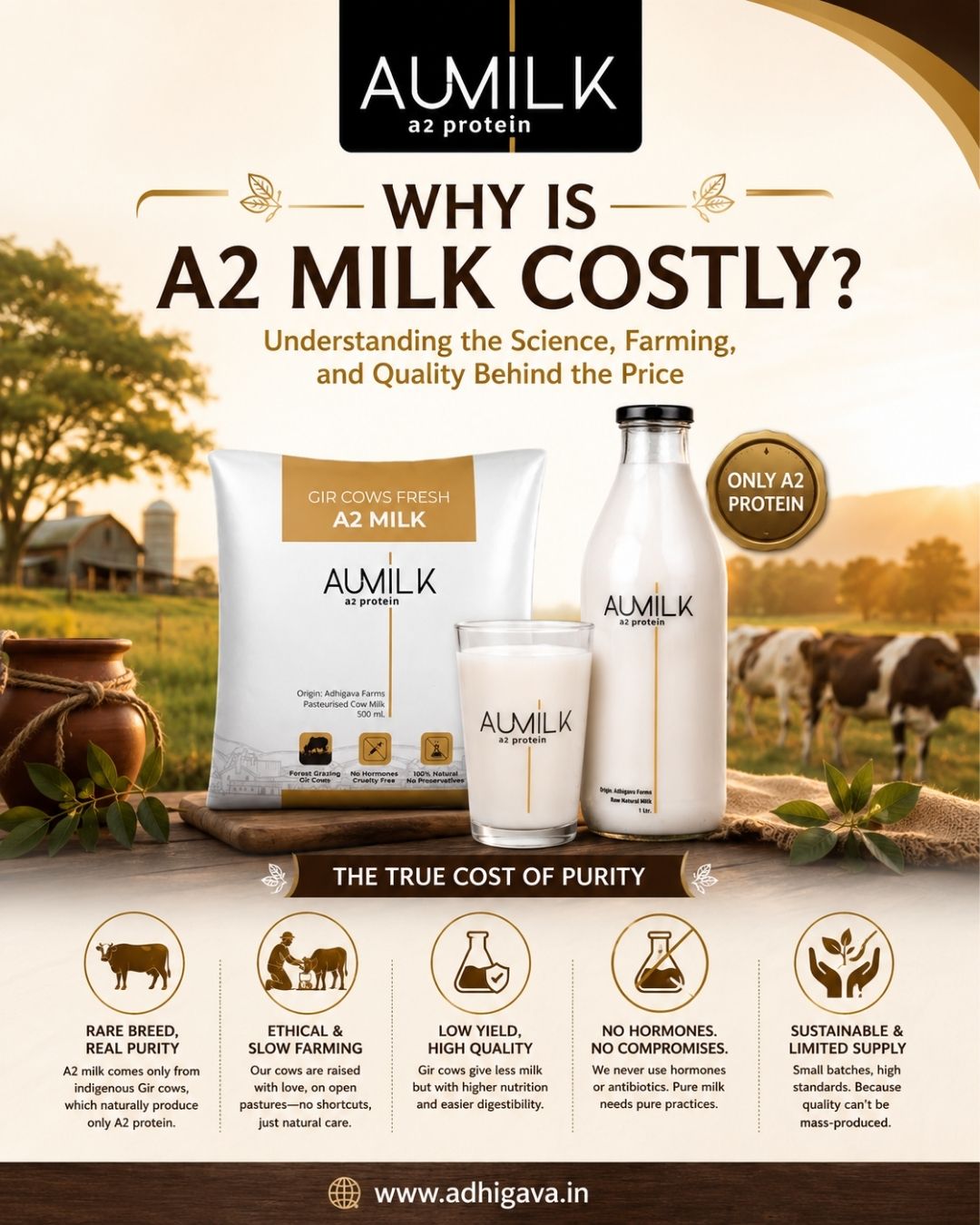 Why Is A2 Milk Costly? Understanding the Science, Farming, and Quality Behind the Price