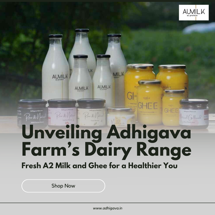 Adhigava Farm's Fresh A2 Milk & Ghee for Health www.adhigava.in