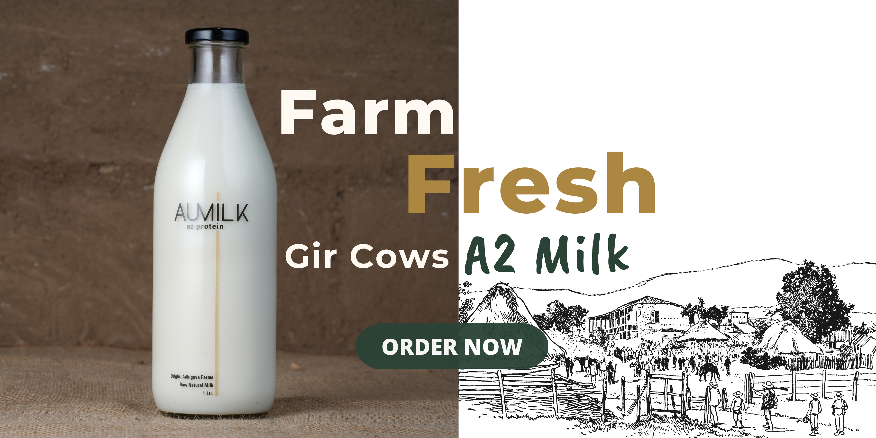 Aumilk | Desi Gir Cows A2 Milk | Home Delivery Of Farm Fresh A2 Milk ...